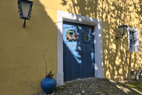 Farm i Nazare, Leiria, Nazare - € 2.900.000 | Ref: TRI-316-24-CS - foto 3