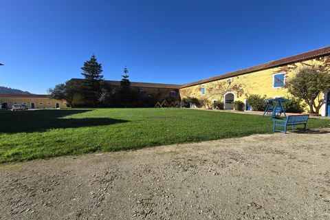 Farm i Nazare, Leiria, Nazare - € 2.900.000 | Ref: TRI-316-24-CS - foto 6