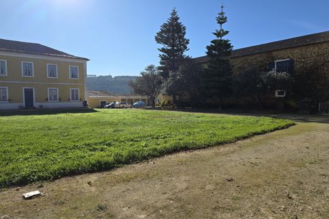 Farm i Nazare, Leiria, Nazare - € 2.900.000 | Ref: TRI-316-24-CS - foto 8