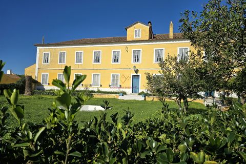 Farm i Nazare, Leiria, Nazare - € 2.900.000 | Ref: TRI-316-24-CS - foto 9