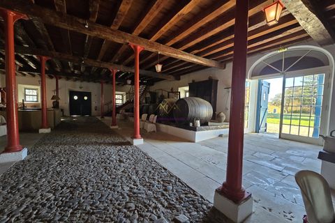 Farm i Nazare, Leiria, Nazare - € 2.900.000 | Ref: TRI-316-24-CS - foto 11