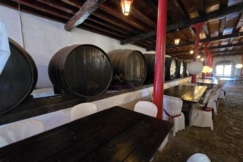 Farm i Nazare, Leiria, Nazare - € 2.900.000 | Ref: TRI-316-24-CS - foto 12