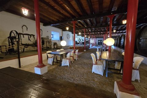 Farm i Nazare, Leiria, Nazare - € 2.900.000 | Ref: TRI-316-24-CS - foto 13