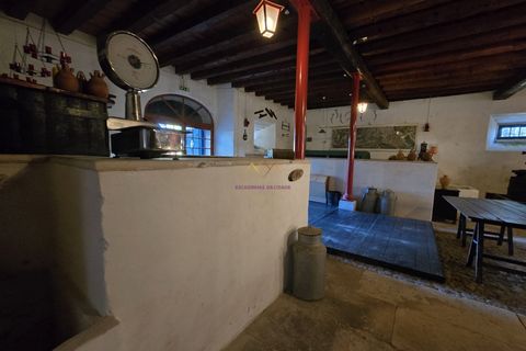 Farm i Nazare, Leiria, Nazare - € 2.900.000 | Ref: TRI-316-24-CS - foto 15