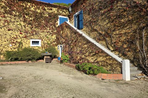 Farm i Nazare, Leiria, Nazare - € 2.900.000 | Ref: TRI-316-24-CS - foto 16