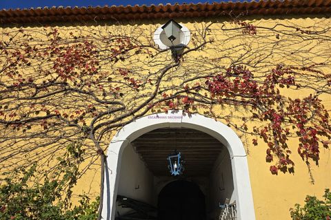 Farm i Nazare, Leiria, Nazare - € 2.900.000 | Ref: TRI-316-24-CS - foto 17