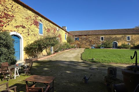 Farm i Nazare, Leiria, Nazare - € 2.900.000 | Ref: TRI-316-24-CS - foto 18