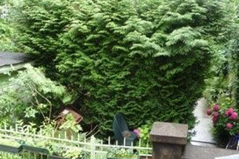 Apartament a Versailles, Yvelines, Versailles - € 1.328/mes | Ref: 132473 - foto 5