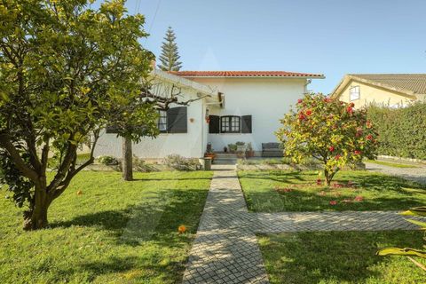 Villa i Ilhavo, Aveiro, Ilhavo - € 490.000 | Ref: 1012486/26 GL - foto 34