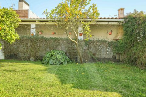 Villa i Ilhavo, Aveiro, Ilhavo - € 490.000 | Ref: 1012486/26 GL - foto 36