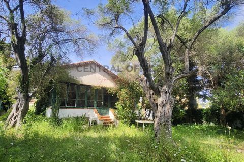 Villa i Antibes, Alpes-Maritimes, Antibes - € 980.000 | Ref: 85956080 - foto 1