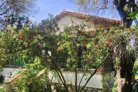 Villa i Antibes, Alpes-Maritimes, Antibes - € 980.000 | Ref: 85956080 - foto 2