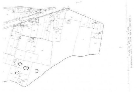 Terra a Vigonza, Padua, Vigonza - € 263.000 | Ref: M2175 - foto 2