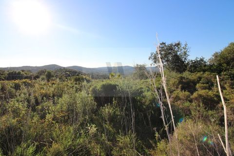 Helårsgrund i Estoi, Faro, Estoi - € 30.000 | Ref: VA1074 - foto 2