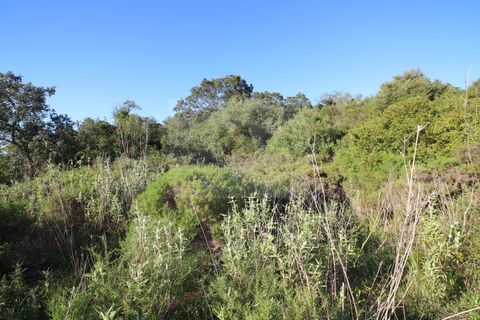 Helårsgrund i Estoi, Faro, Estoi - € 30.000 | Ref: VA1074 - foto 3