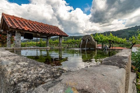 Farm i Ponte de Lima, Viana do Castelo, Ponte de Lima - € 595.000 | Ref: PTL-019-017 - foto 7