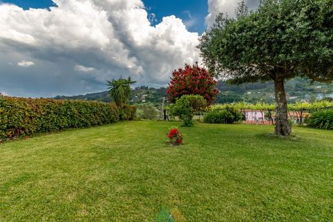 Farm i Ponte de Lima, Viana do Castelo, Ponte de Lima - € 595.000 | Ref: PTL-019-017 - foto 9