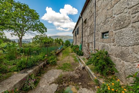 Farm i Ponte de Lima, Viana do Castelo, Ponte de Lima - € 595.000 | Ref: PTL-019-017 - foto 13