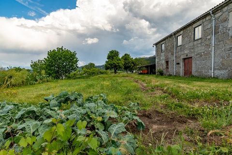 Farm i Ponte de Lima, Viana do Castelo, Ponte de Lima - € 595.000 | Ref: PTL-019-017 - foto 17