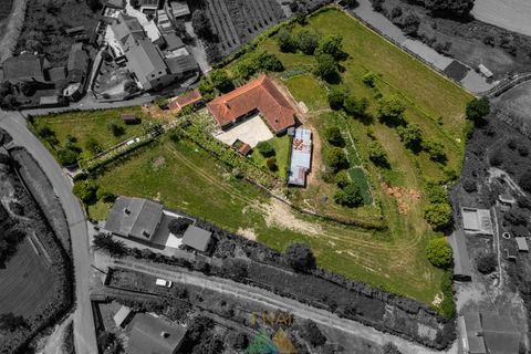 Farm i Ponte de Lima, Viana do Castelo, Ponte de Lima - € 595.000 | Ref: PTL-019-017 - foto 20