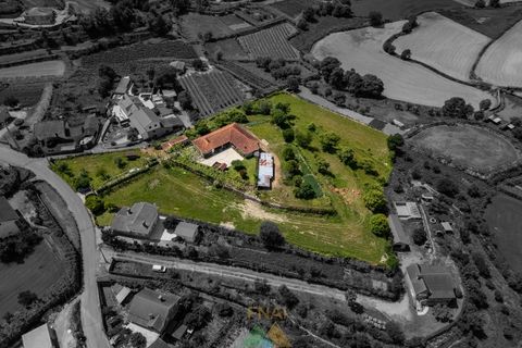 Farm i Ponte de Lima, Viana do Castelo, Ponte de Lima - € 595.000 | Ref: PTL-019-017 - foto 21