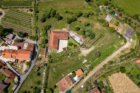 Farm i Ponte de Lima, Viana do Castelo, Ponte de Lima - € 595.000 | Ref: PTL-019-017 - foto 23