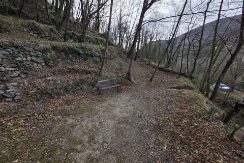 Terra a Castillon, Alpes-Maritimes, Castillon - € 38.600 | Ref: L17210 - foto 4