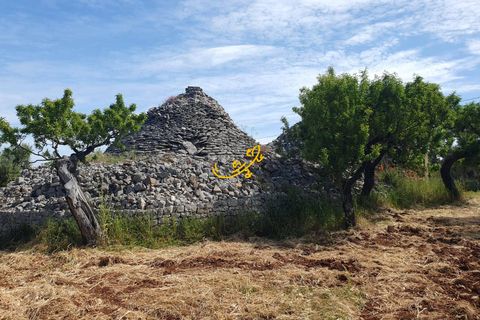 Landejendom i Monopoli, Bari, Monopoli - € 90.000 | Ref: R 561 - foto 2