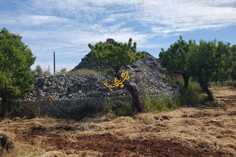 Landejendom i Monopoli, Bari, Monopoli - € 90.000 | Ref: R 561 - foto 3