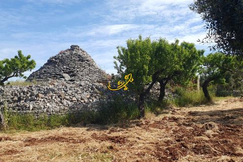 Landejendom i Monopoli, Bari, Monopoli - € 90.000 | Ref: R 561 - foto 6