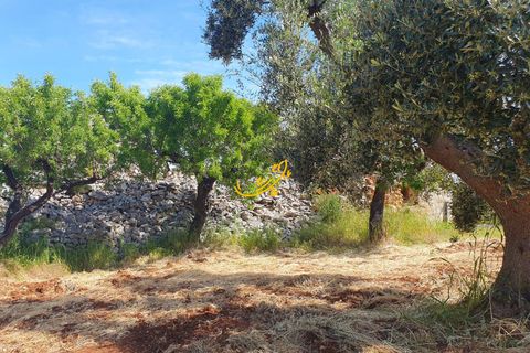 Landejendom i Monopoli, Bari, Monopoli - € 90.000 | Ref: R 561 - foto 9