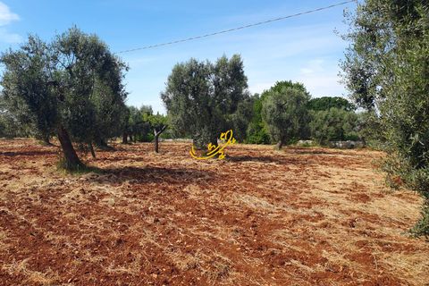Landejendom i Monopoli, Bari, Monopoli - € 90.000 | Ref: R 561 - foto 11