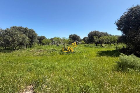 Landejendom i Polignano a Mare, Bari, Polignano a Mare - € 230.000 | Ref: R 562 - foto 10