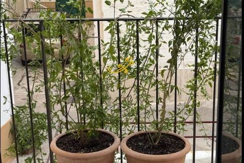 Lejlighed i Monopoli, Bari, Monopoli - € 950.000 | Ref: U 195 - foto 32