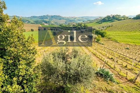 Villa i Offida, Ascoli Piceno, Offida - € 160.000 | Ref: 3488 - foto 4