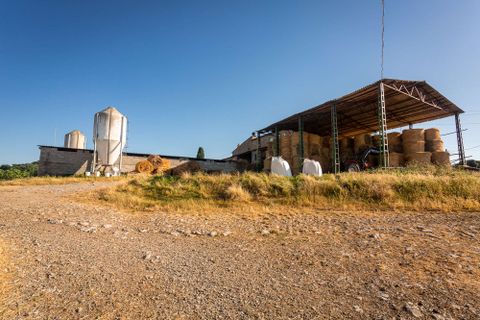 Farm hus i Lajatico, Pisa, Lajatico - € 550.000 | Ref: L-51-464274 - foto 8