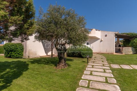 Villa a Palau, Sassari, Palau - € 1.950.000 | Ref: Porto rafa P - foto 7