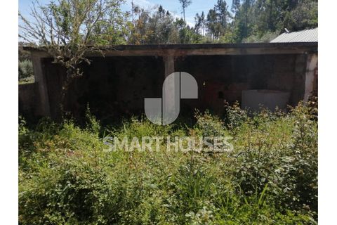 Villa i Arganil, Coimbra, Arganil - € 79.000 | Ref: SHAP326 - foto 9
