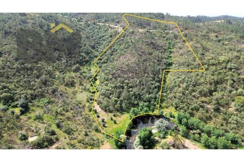 Helårsgrund i Castelo Branco, Castelo Branco, Castelo Branco - € 28.000 | Ref: 5045 - foto 1