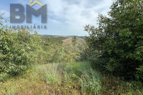Helårsgrund i Castelo Branco, Castelo Branco, Castelo Branco - € 28.000 | Ref: 5045 - foto 6