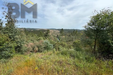 Helårsgrund i Castelo Branco, Castelo Branco, Castelo Branco - € 28.000 | Ref: 5045 - foto 8