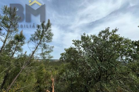 Helårsgrund i Castelo Branco, Castelo Branco, Castelo Branco - € 28.000 | Ref: 5045 - foto 9