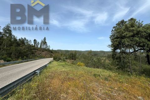 Helårsgrund i Castelo Branco, Castelo Branco, Castelo Branco - € 28.000 | Ref: 5045 - foto 10