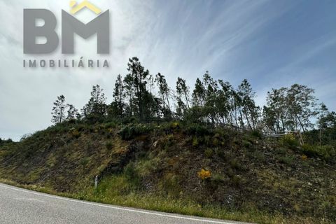 Helårsgrund i Castelo Branco, Castelo Branco, Castelo Branco - € 28.000 | Ref: 5045 - foto 11