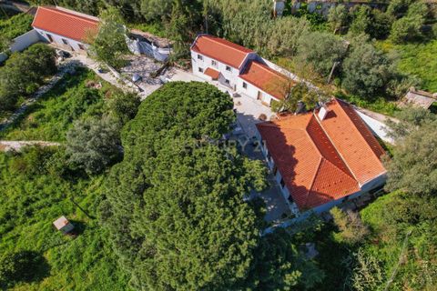 Farm hus i Setubal, Setubal, Setubal - € 2.850.000 | Ref: C0498-00240 - foto 11