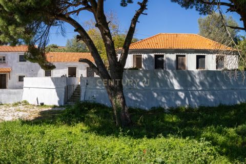 Farm hus i Setubal, Setubal, Setubal - € 2.850.000 | Ref: C0498-00240 - foto 12