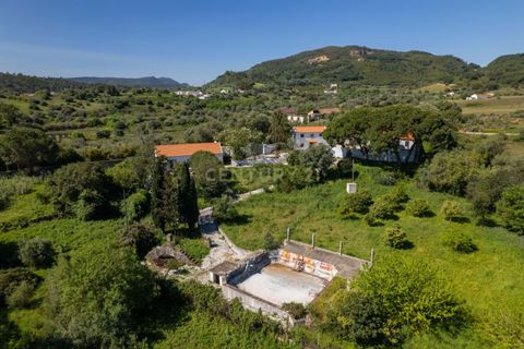 Farm hus i Setubal, Setubal, Setubal - € 2.850.000 | Ref: C0498-00240 - foto 14