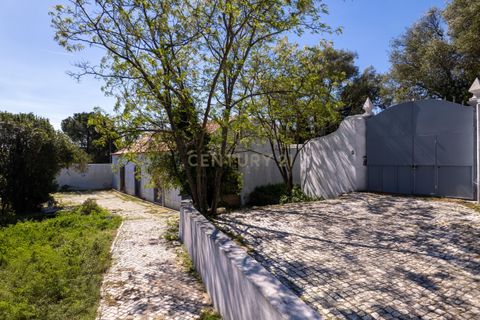 Farm hus i Setubal, Setubal, Setubal - € 2.850.000 | Ref: C0498-00240 - foto 16