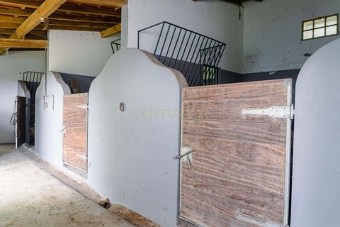 Helårsgrund i Alenquer, Lisbon, Alenquer - € 400.000 | Ref: C0500-00198 - foto 12