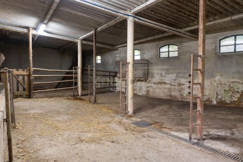 Helårsgrund i Alenquer, Lisbon, Alenquer - € 400.000 | Ref: C0500-00198 - foto 15